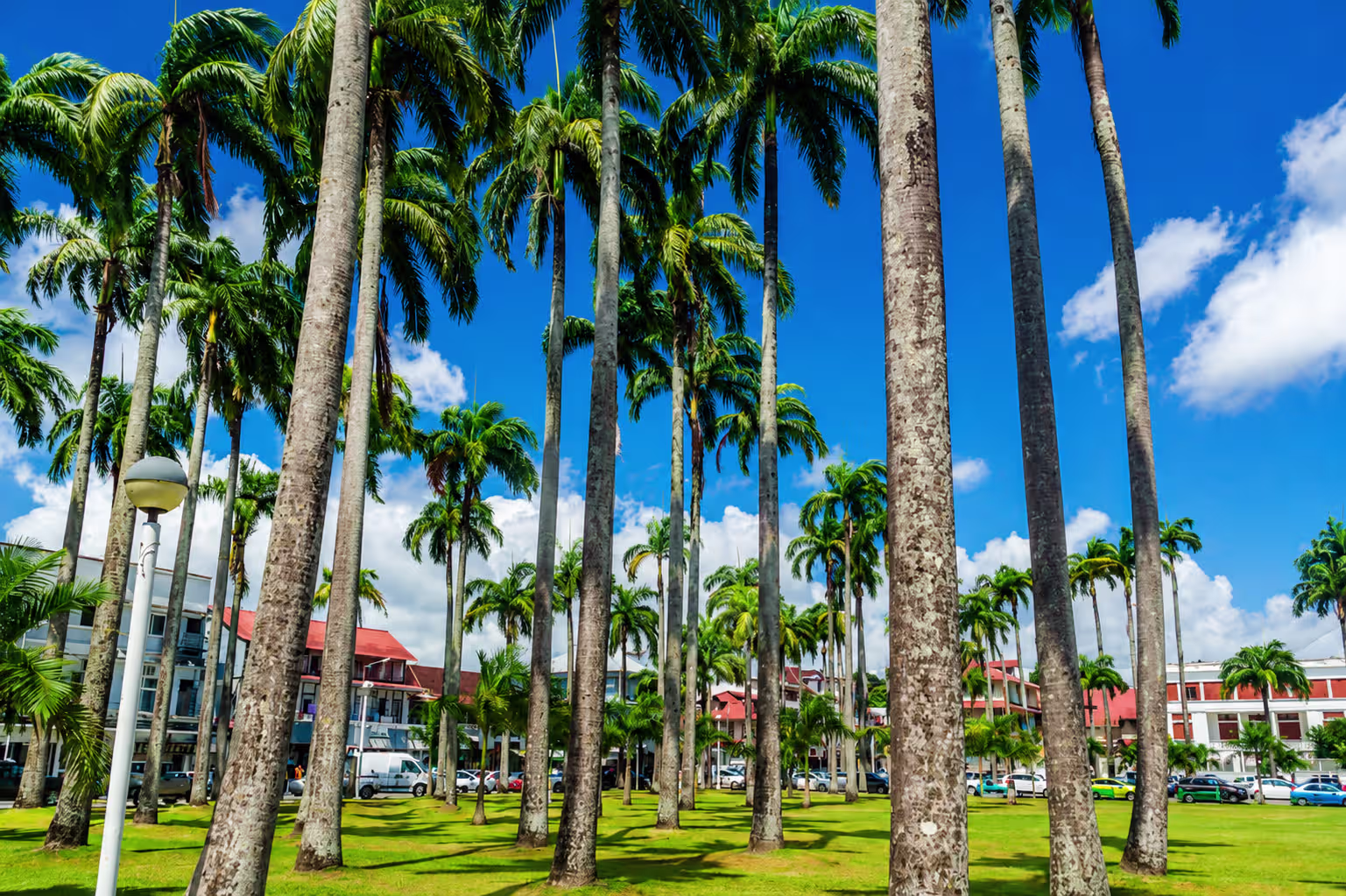 Paysage en Guyane